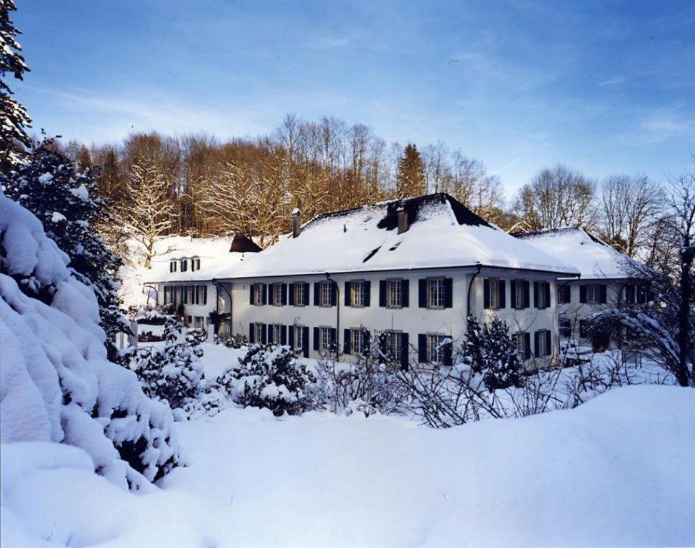 Chateau Attisholz Riedholz Екстер'єр фото